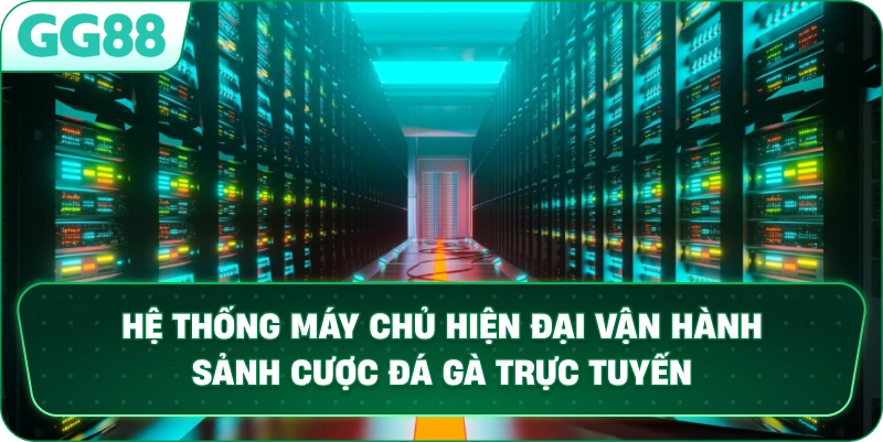 Hệ thống máy chủ hiện đại vận hành sảnh cược đá gà trực tuyến.